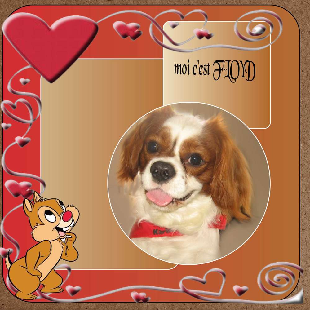 ESSAI_CONFECTION_D_UN_TEMPLATE