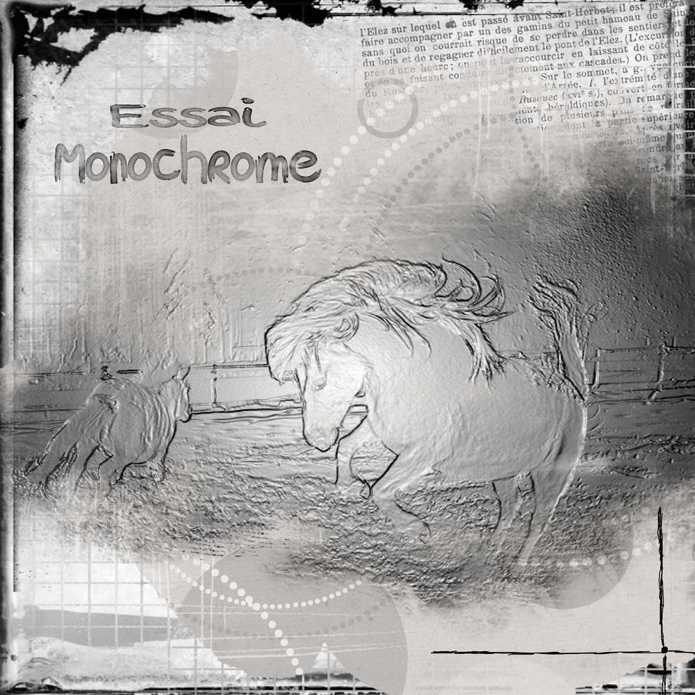 Essai_monochrome_1