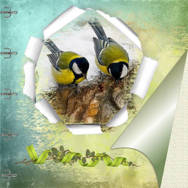 essai_page_retourn__e