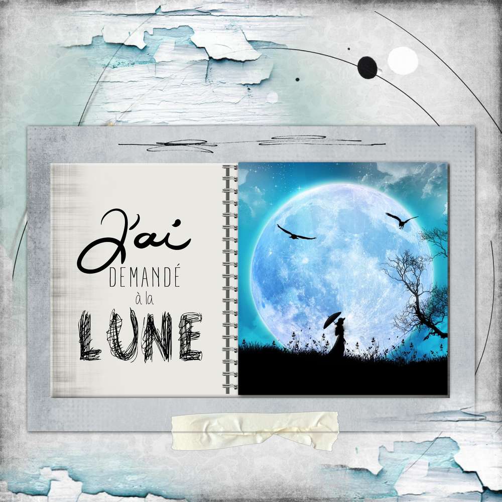 essai_scraplift_Malou