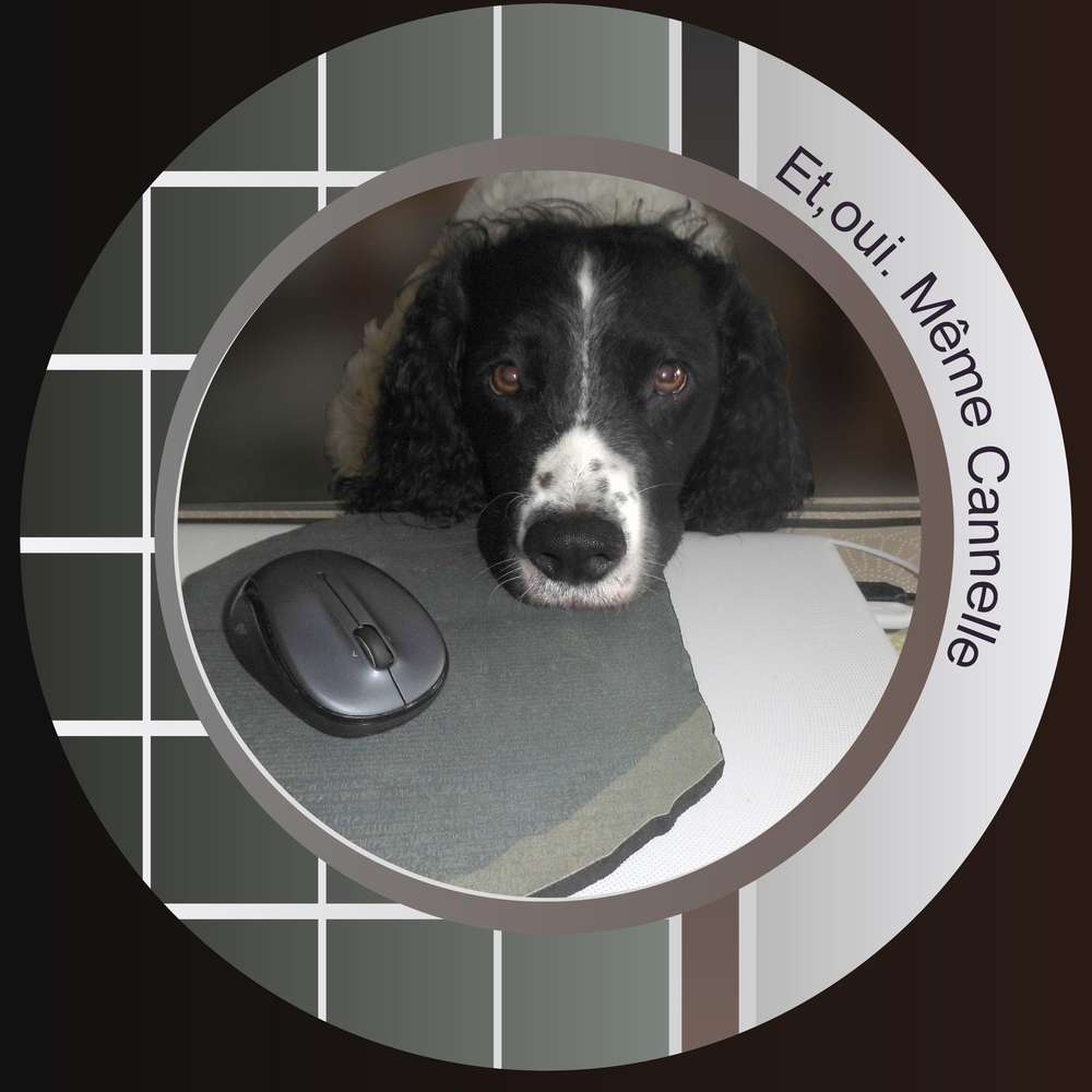 ET OUI. MEME CANNELLE