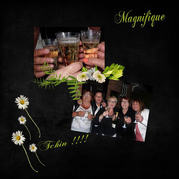 Et voivi la fin du livre ......