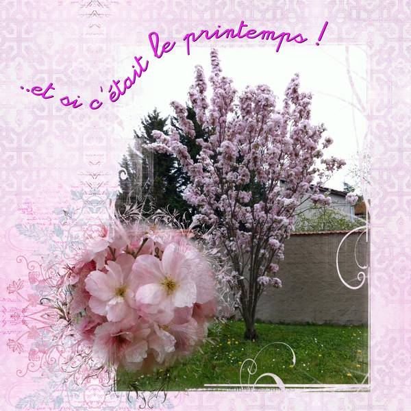 et_si_c___tait_le_printemps