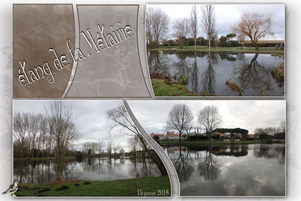 Etang de la Métairie