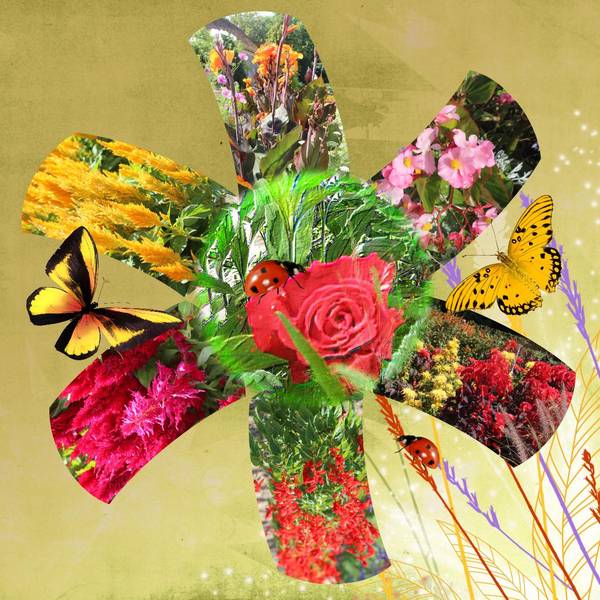 étoile de fleurs  ( Défit Max )