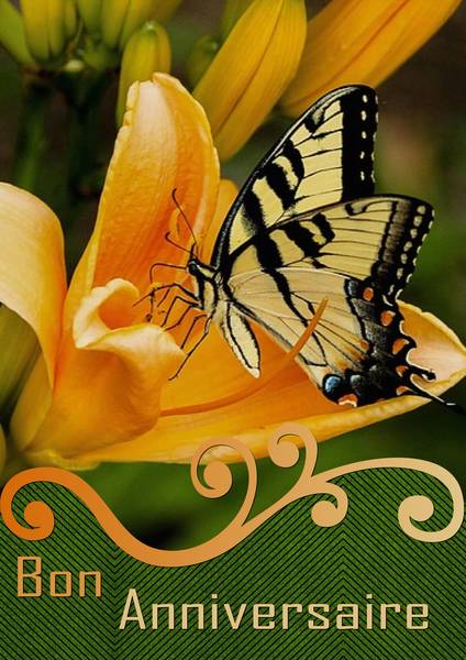 EURYDICE - BON ANNIVERSAIRE