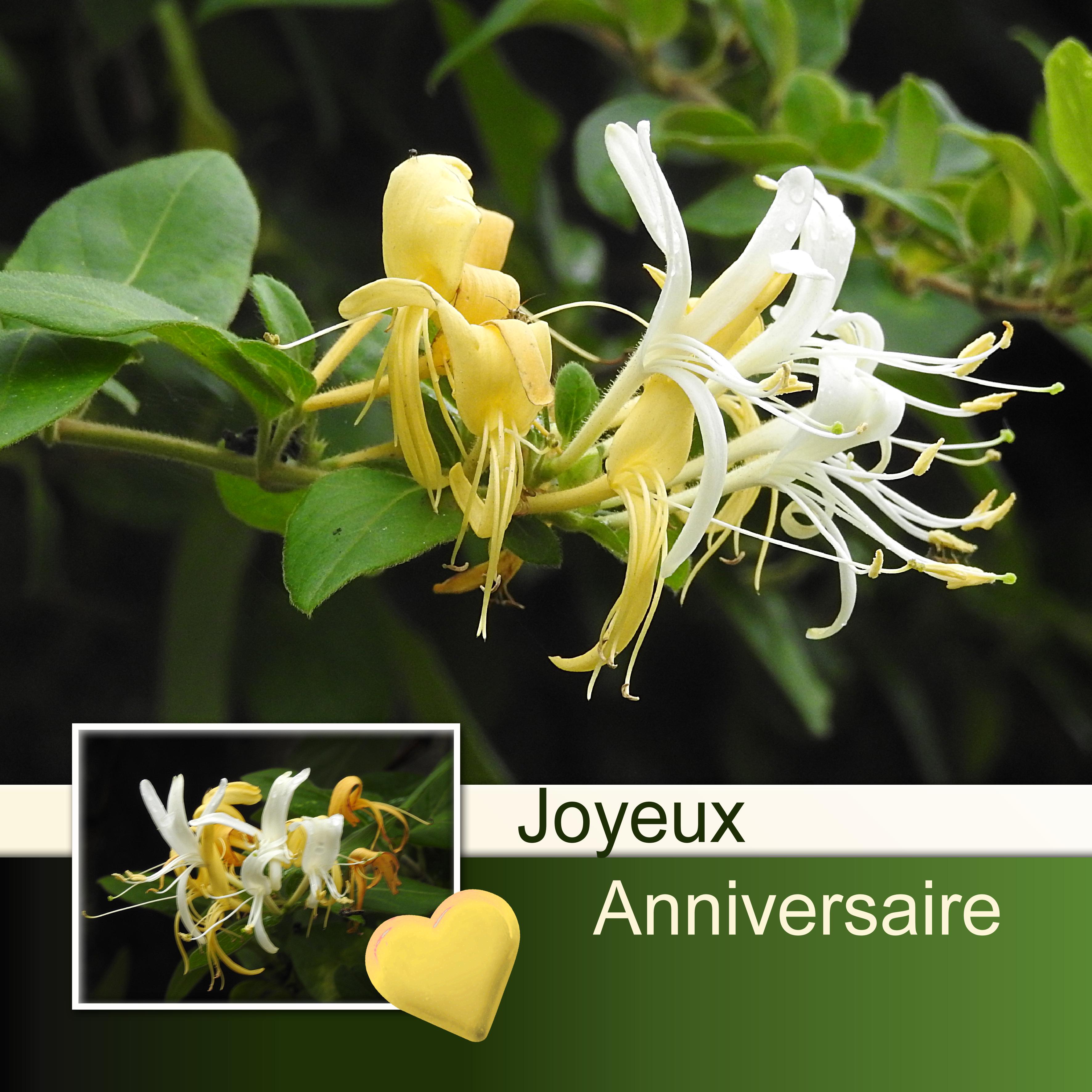 EURYDICE - JOYEUX ANNIVERSAIRE