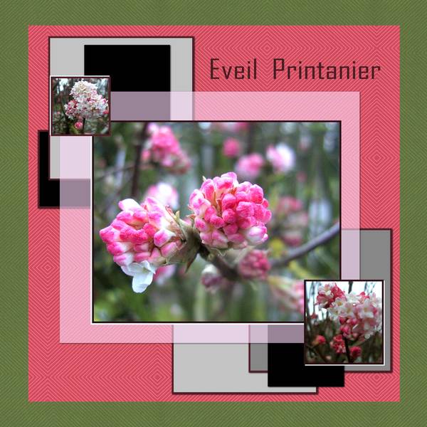 EVEIL PRINTANIER