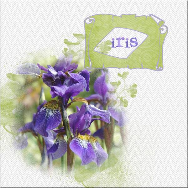 EXCERCICE PERFO MAMYROSE