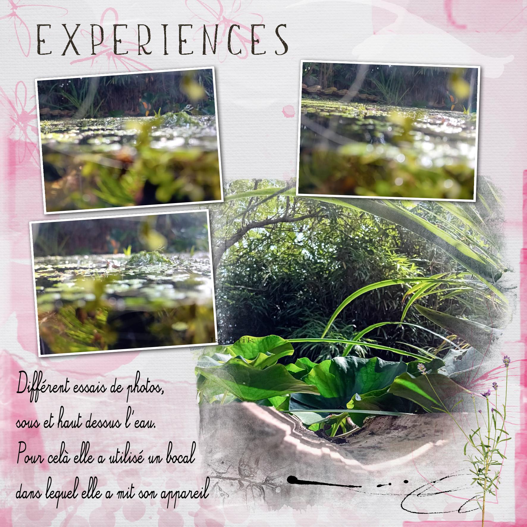 expériences.jpg