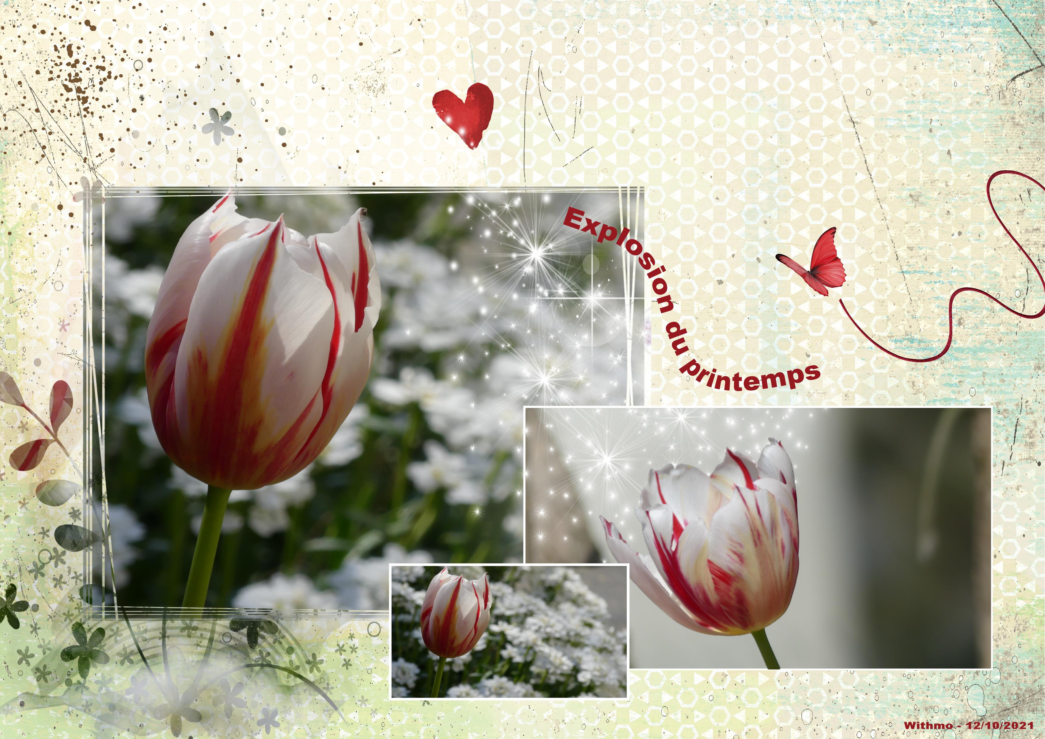 explosion du printemps 2.jpg