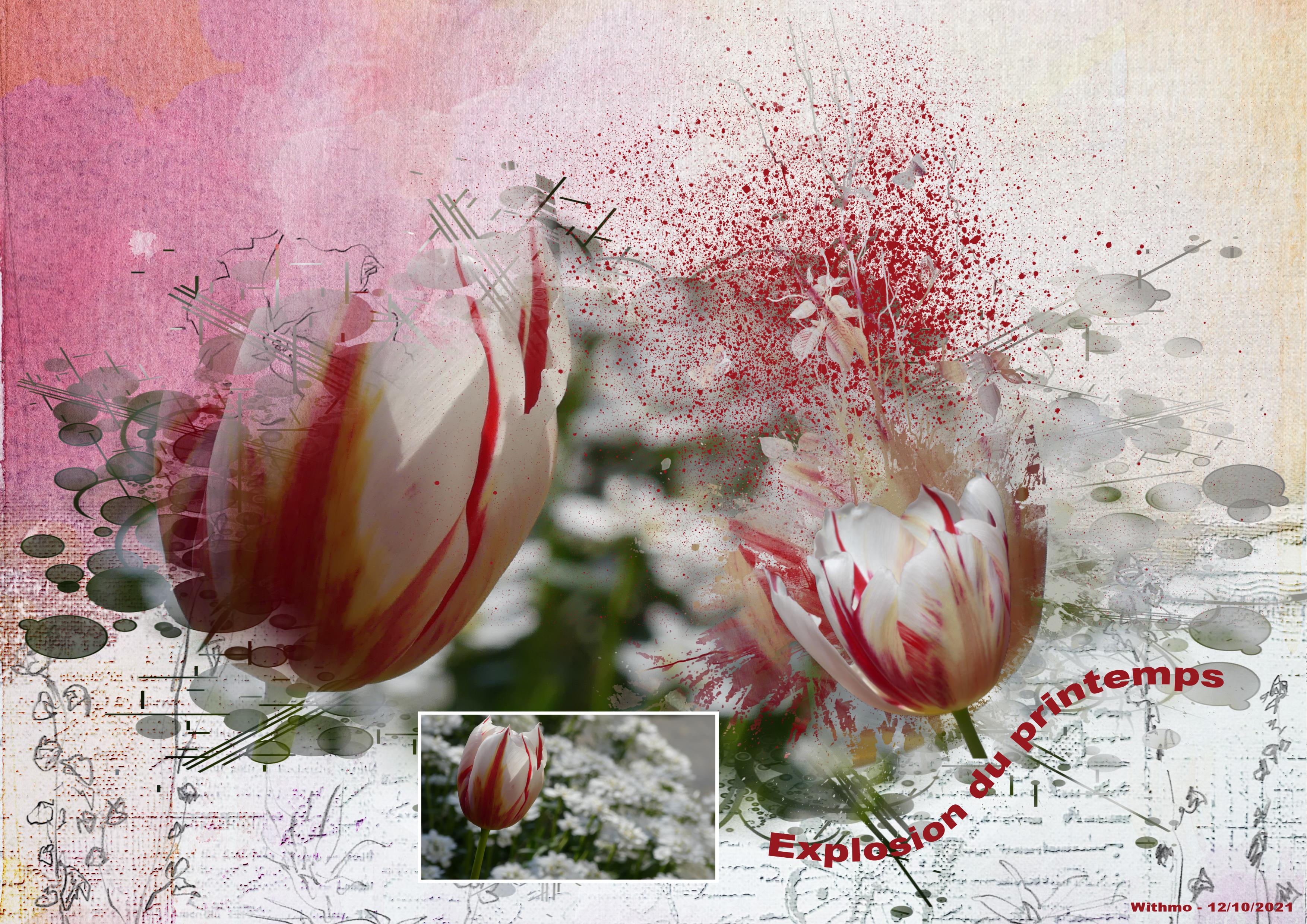 explosion du printemps.jpg