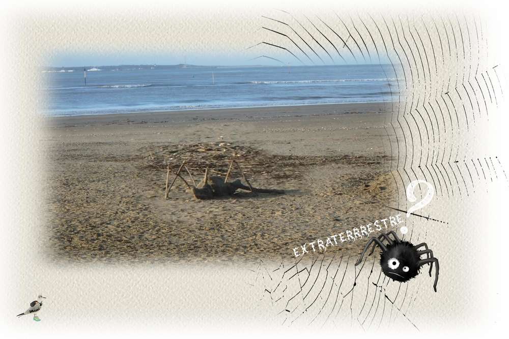 extraterrestre .......