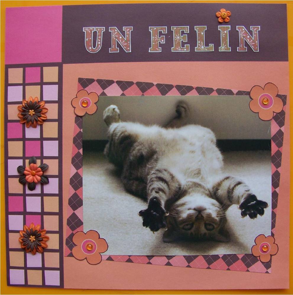 Félin