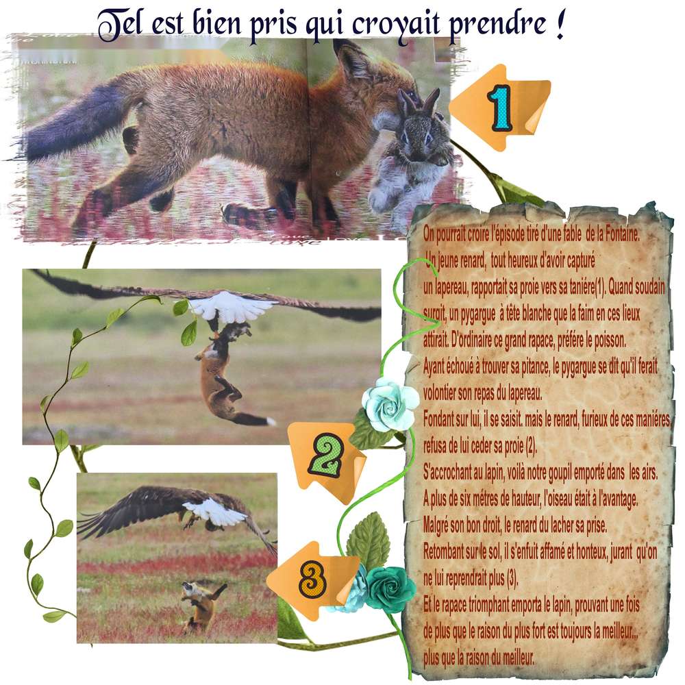 Fable de la Fontaine d'aujourd'hui