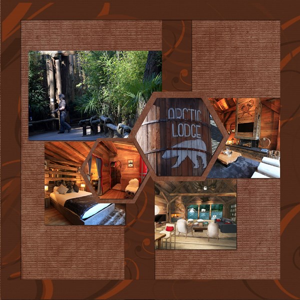 face aux ours polaires