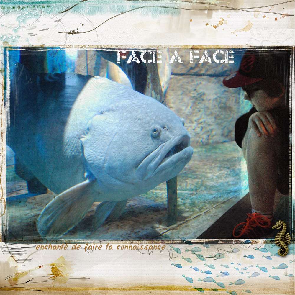fACE_A_FACE