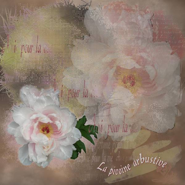 Façon peinture à l'huile