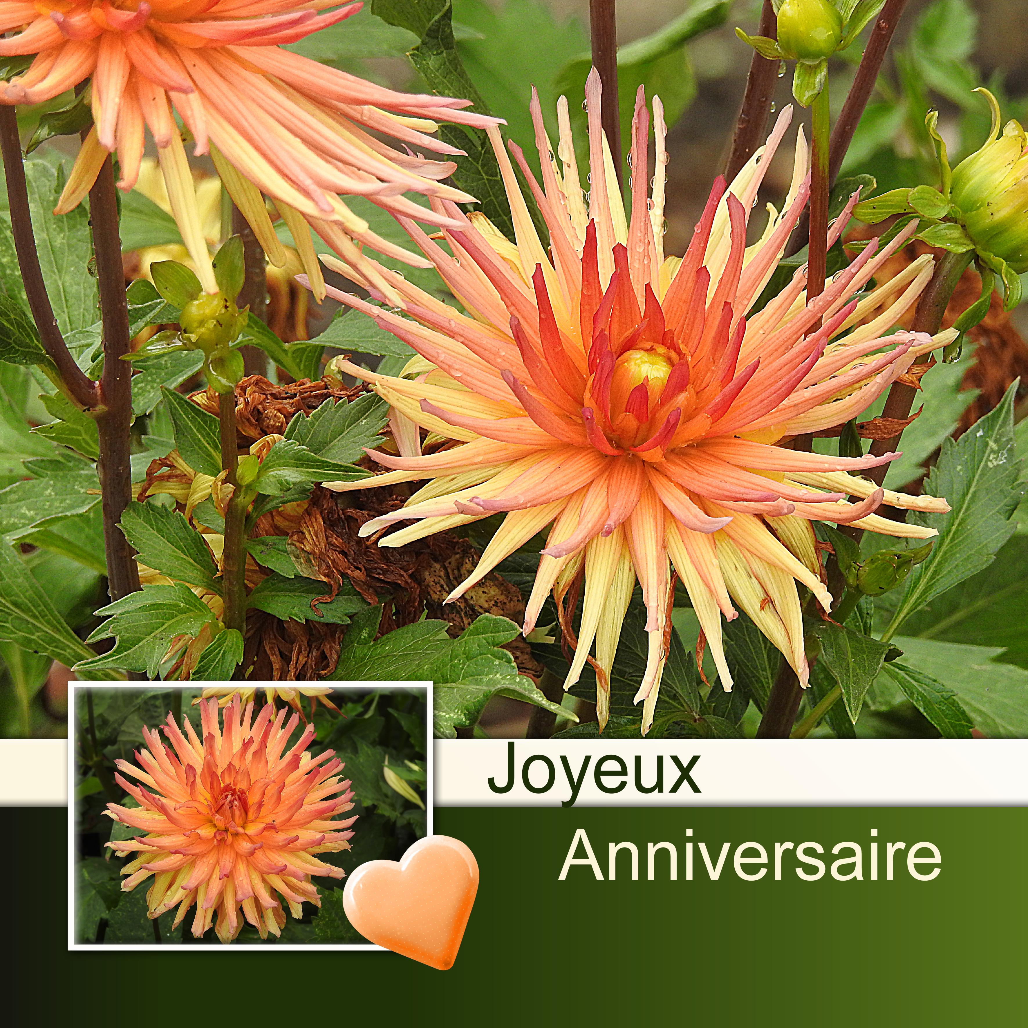 FAFA 1951 (FABIENNE) - JOYEUX ANNIVERSAIRE