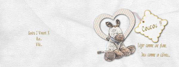 faire_part_naissance 2