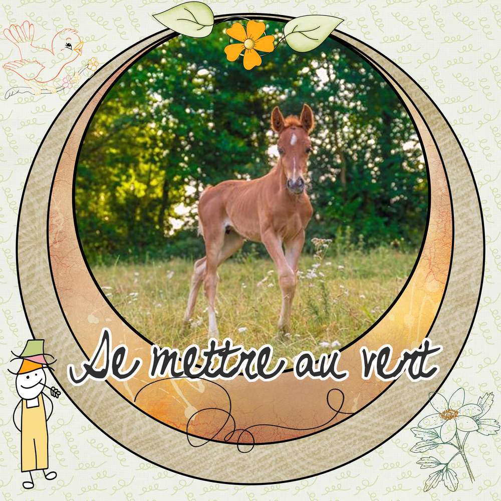 FAIRE_UN_SCRAPLIFT__du_template_de_Gilberte_