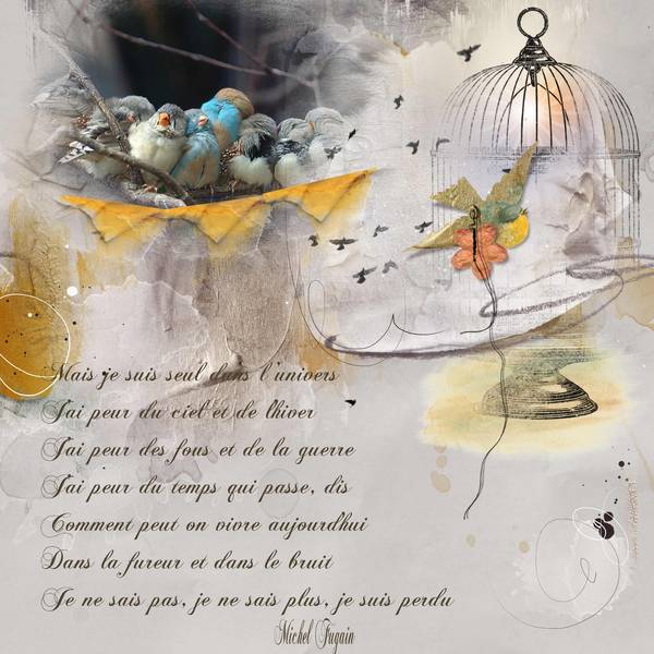 Fais comme l'oiseau ... de Michel Fugain