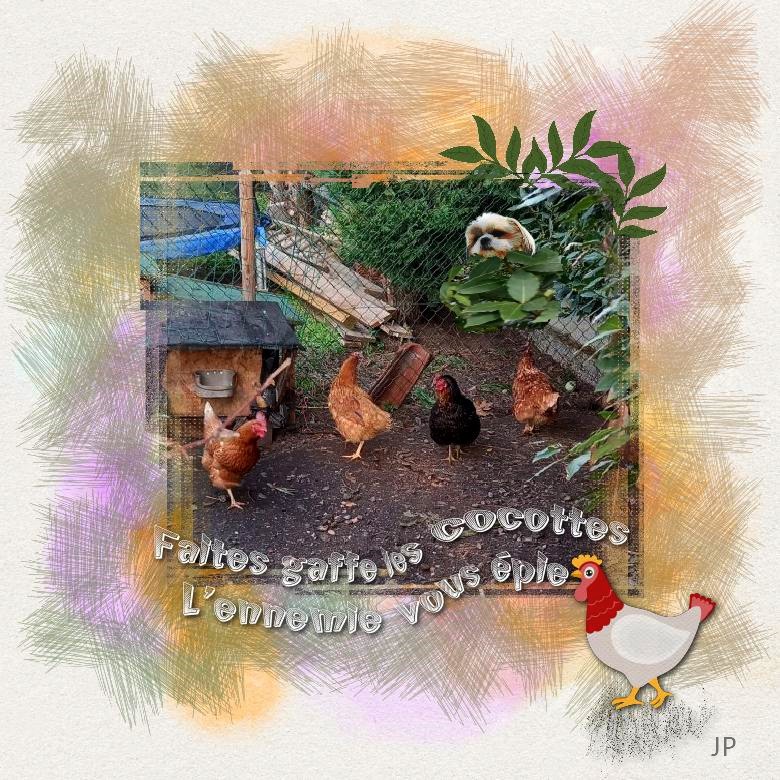 Faites gaffe les cocottes.jpg