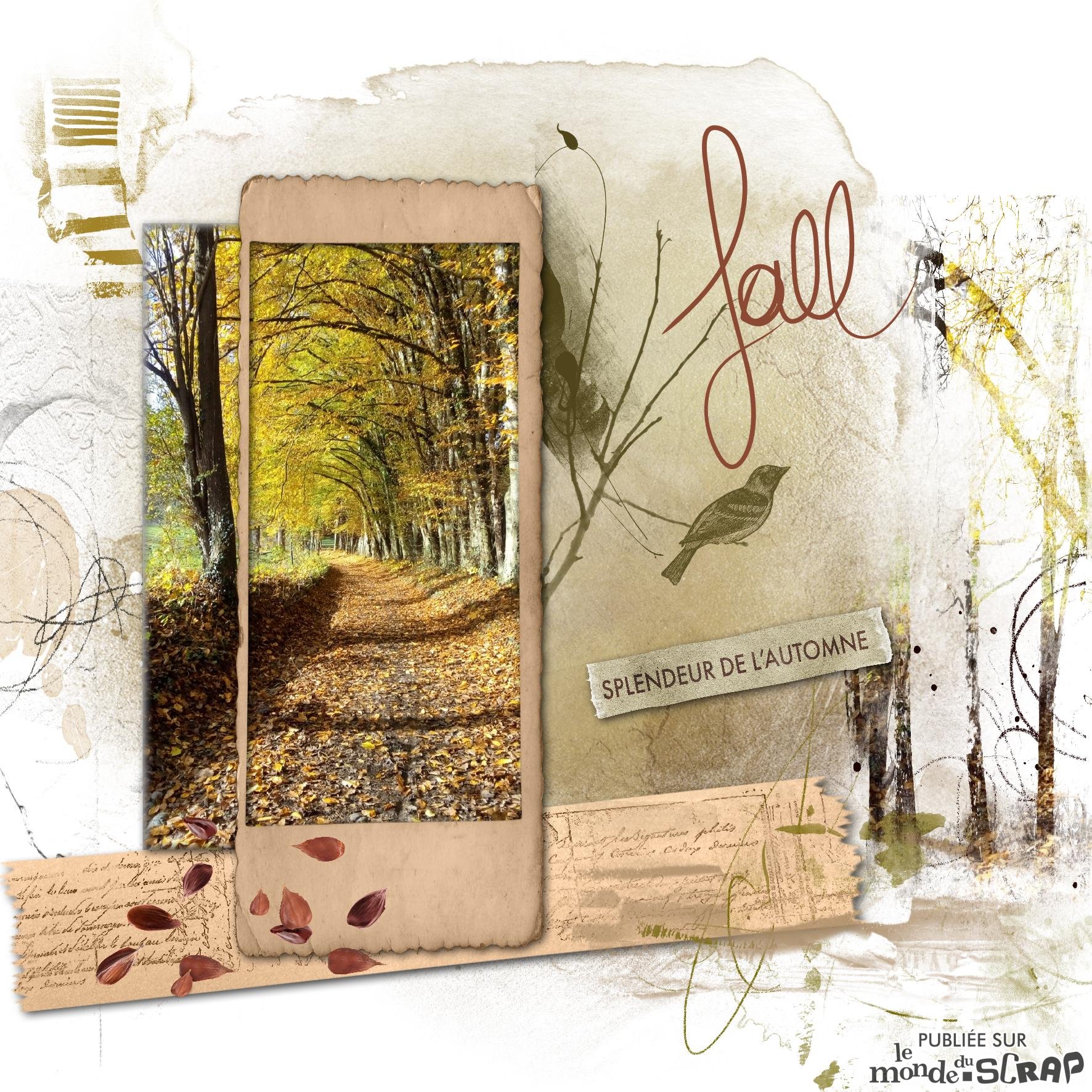 fall.jpg