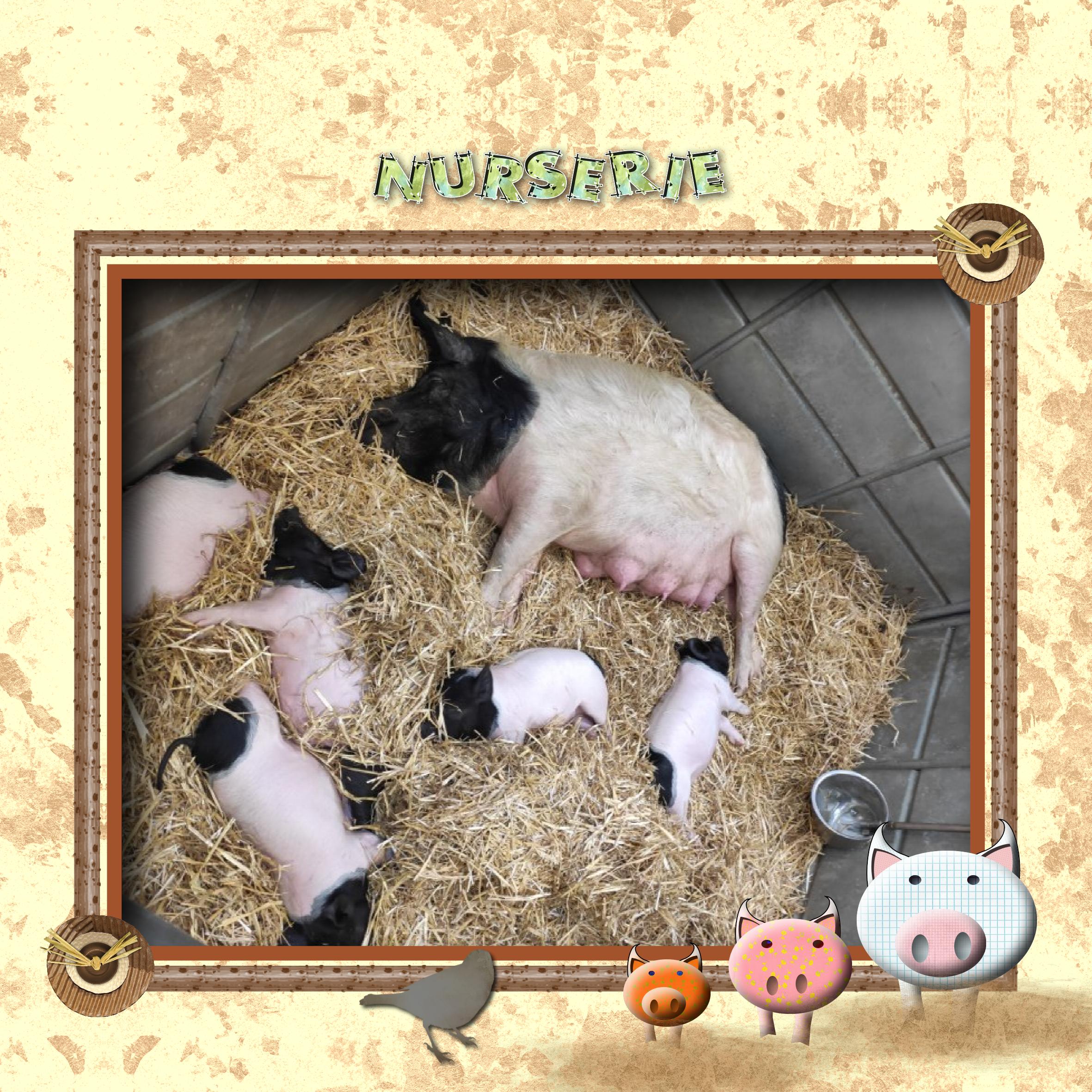 Famille nombreuse.jpg