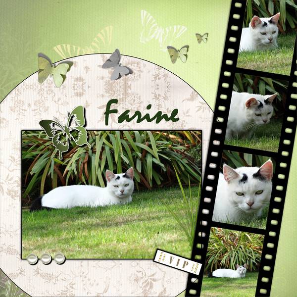 farine