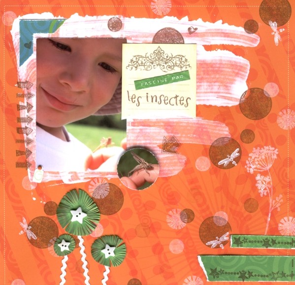 Fasciné par les insectes