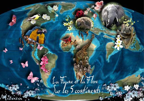Faune et la  flore sur les 5 continents