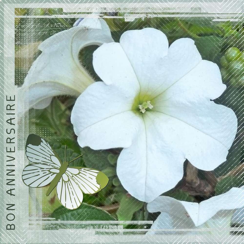 FAUSTI-AVELA - JOYEUX ANNIVERSAIRE