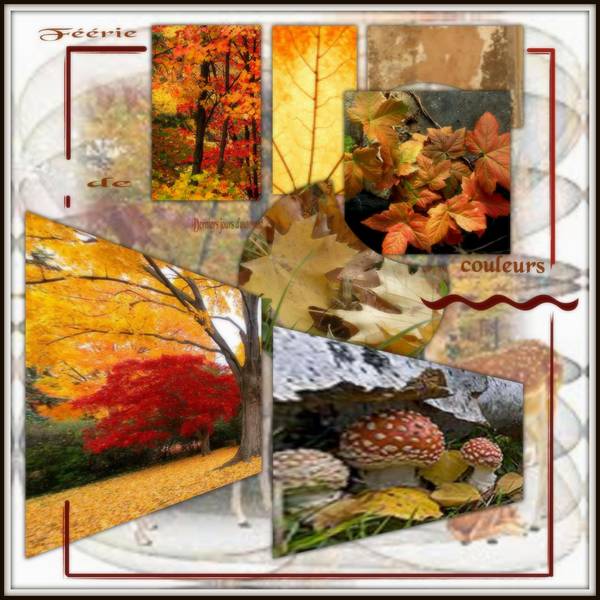 Féérie de couleurs