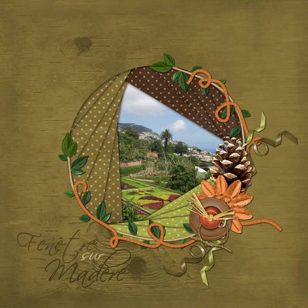 Fenêtre sur Madère - compo réalisée pour le nouveau kit Esprit de la forêt