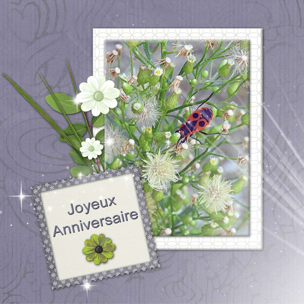 FEOLIA (MARTINE) - JOYEUX ANNIVERSAIRE