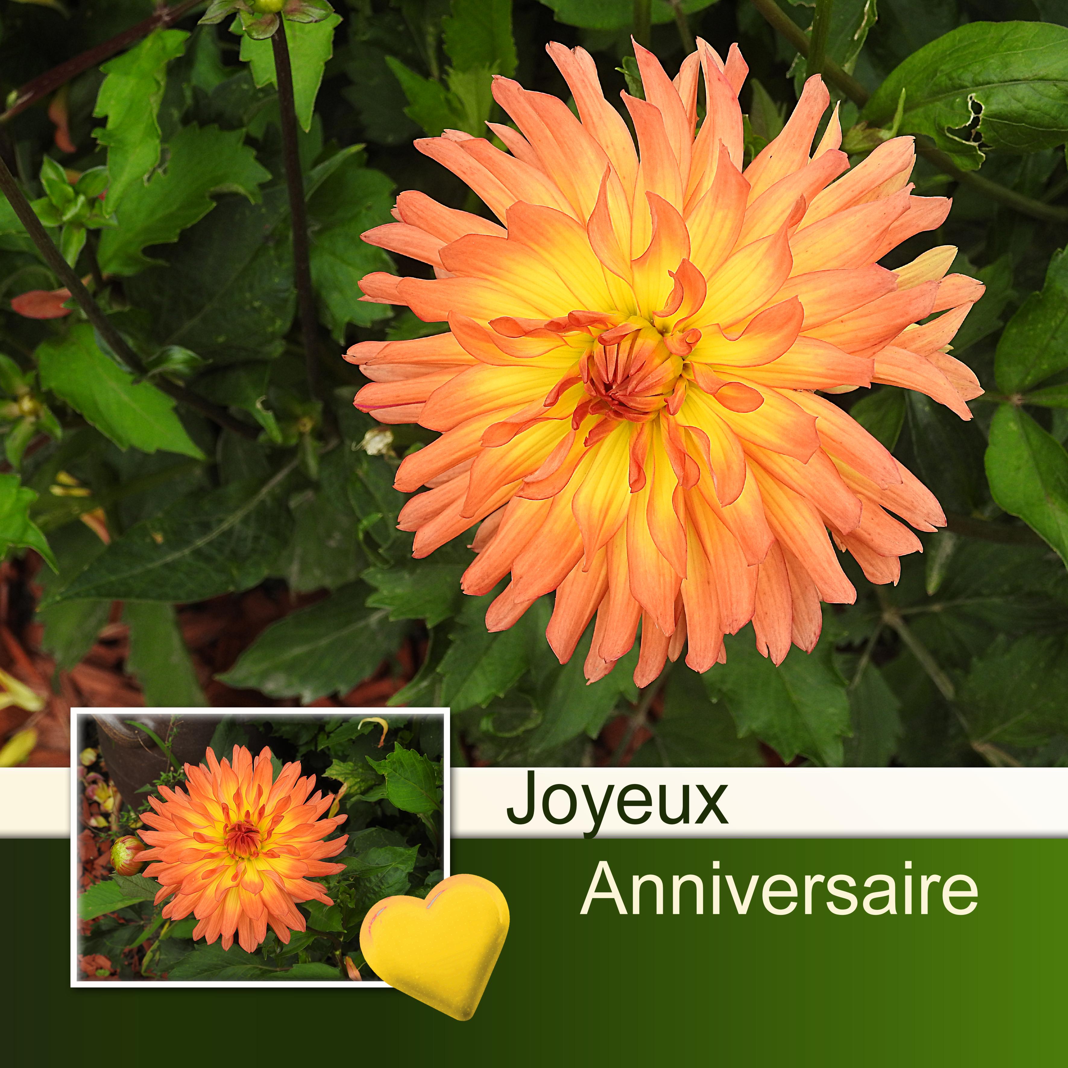 FEOLIA (MARTINE) - JOYEUX ANNIVERSAIRE