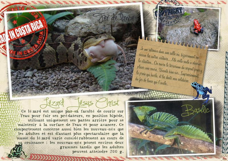 Fer de lance