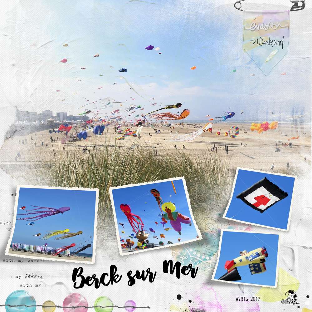 - Festival de cerfs volants à Berck sur Mer -