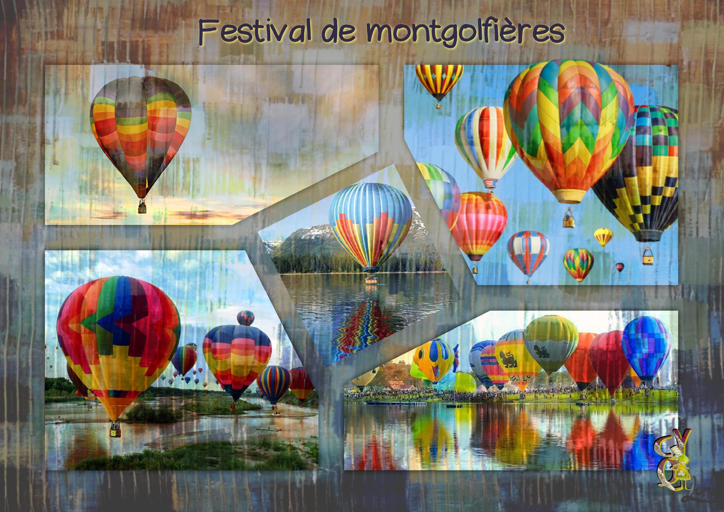 Festival de montgolfières.jpg