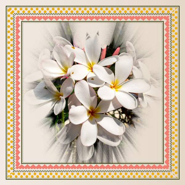 FETE des GRANDS-MERES