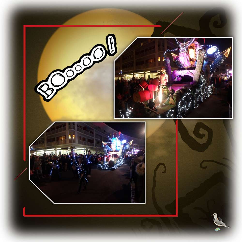 Fête des lumières2