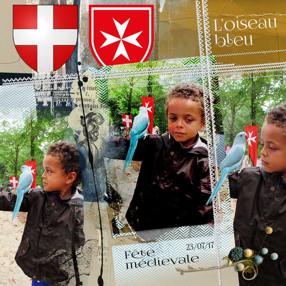 Fête médiévale 23/07/17