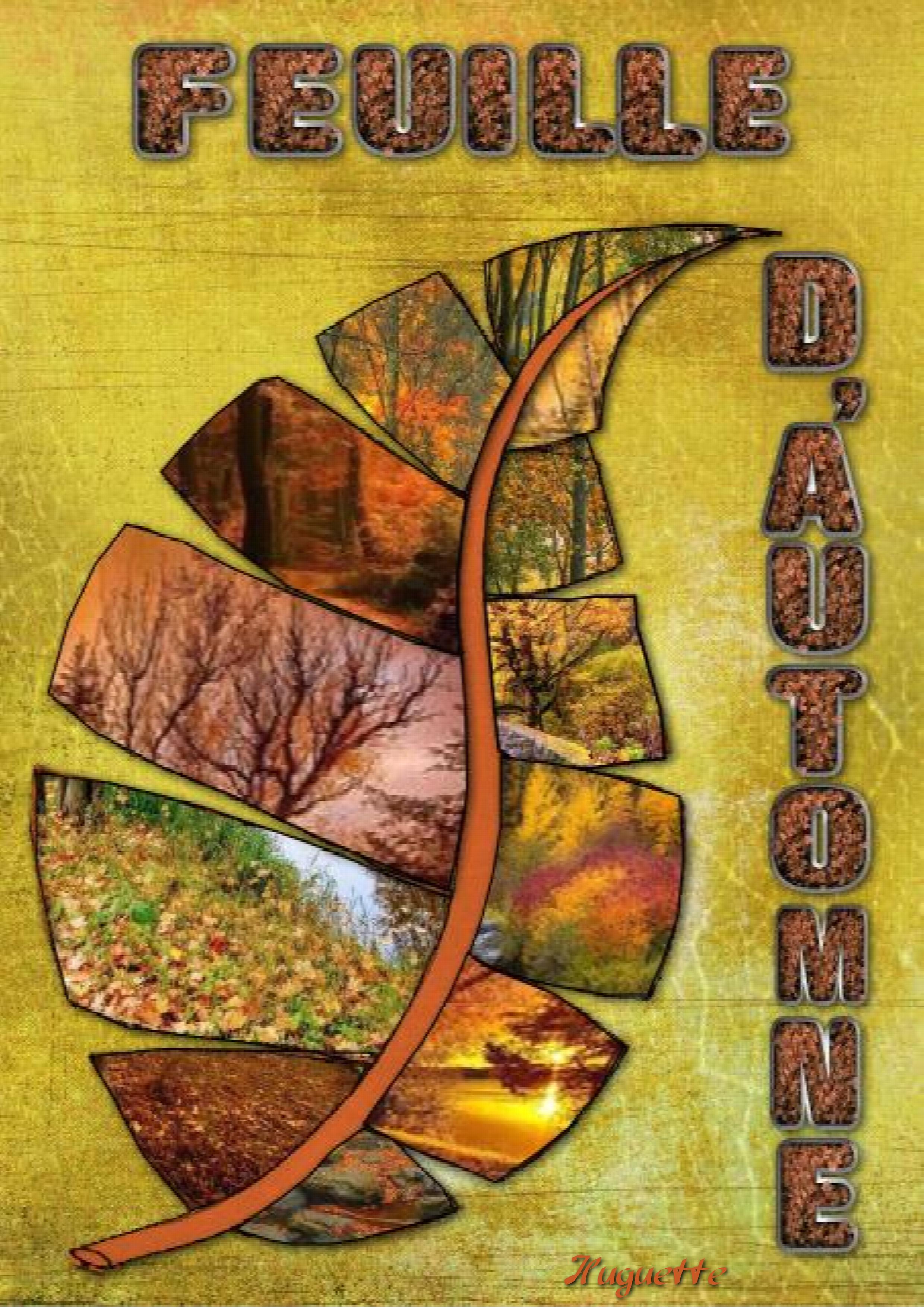 feuille d'automne  Huguette