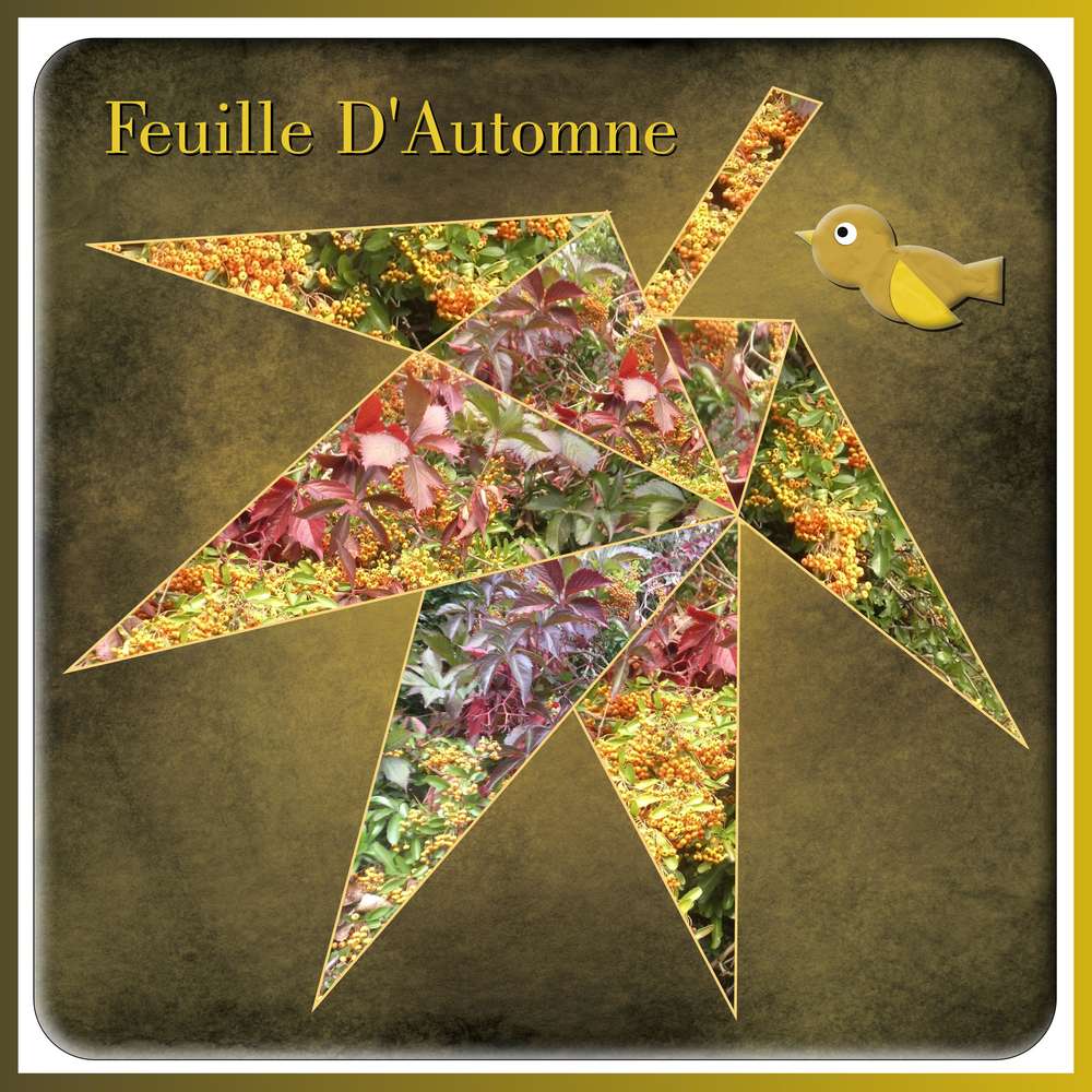 FEUILLE D'AUTOMNE