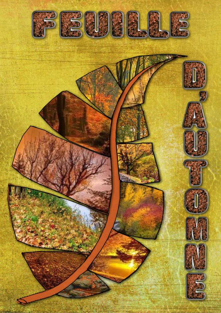 feuille_d_automne1