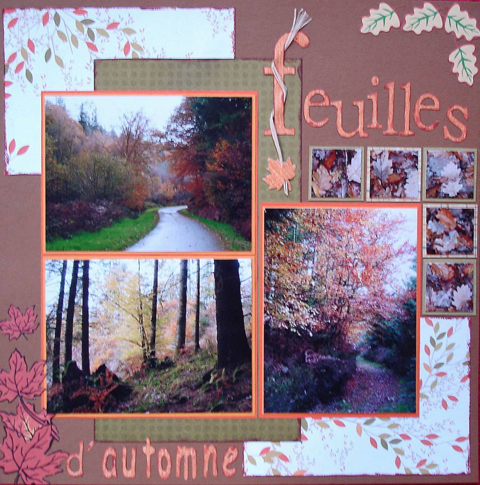 Feuilles d'automne