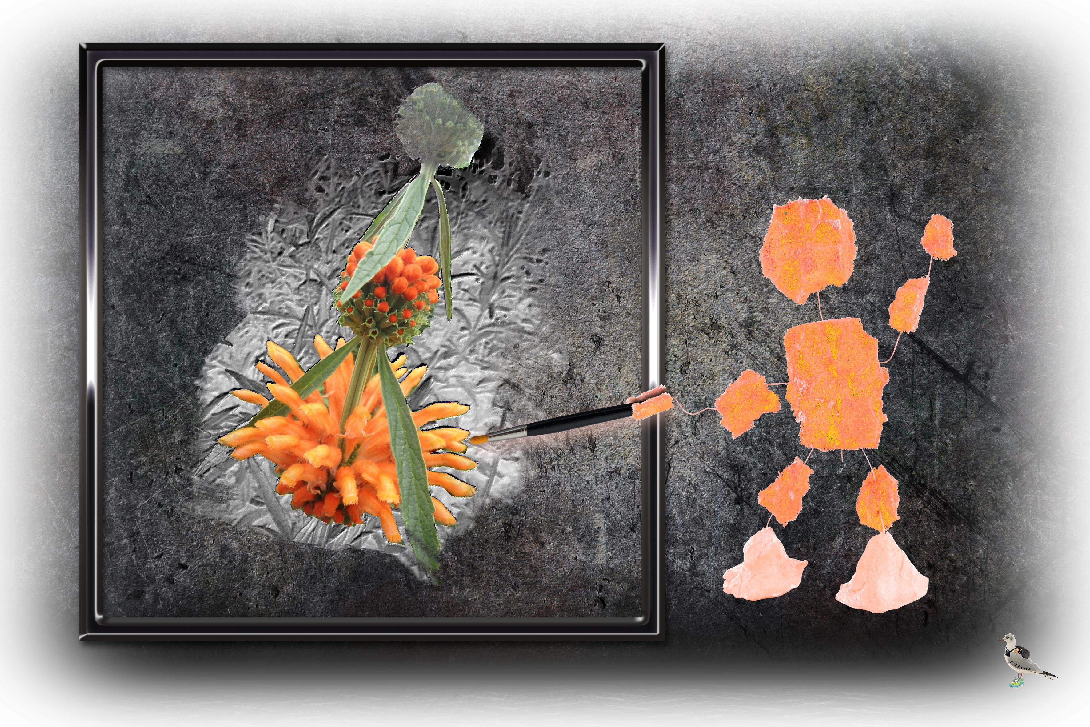 Feur orange-29juin.jpg