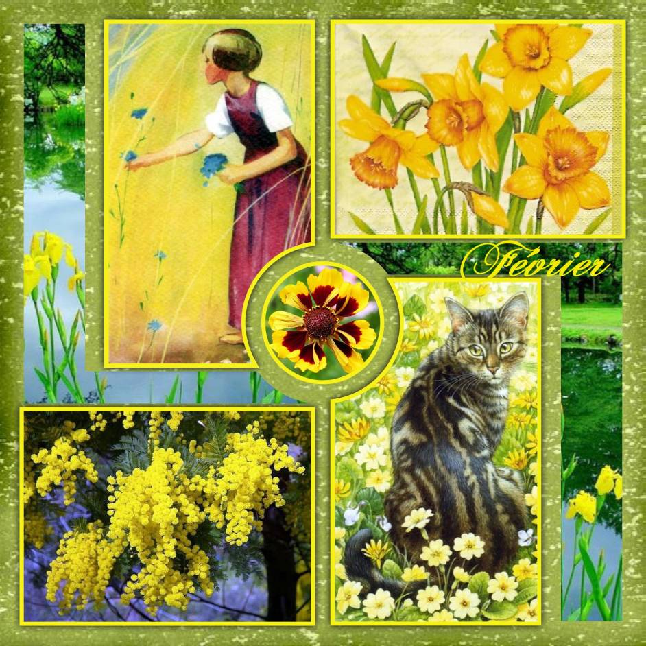 Février,défi de Max