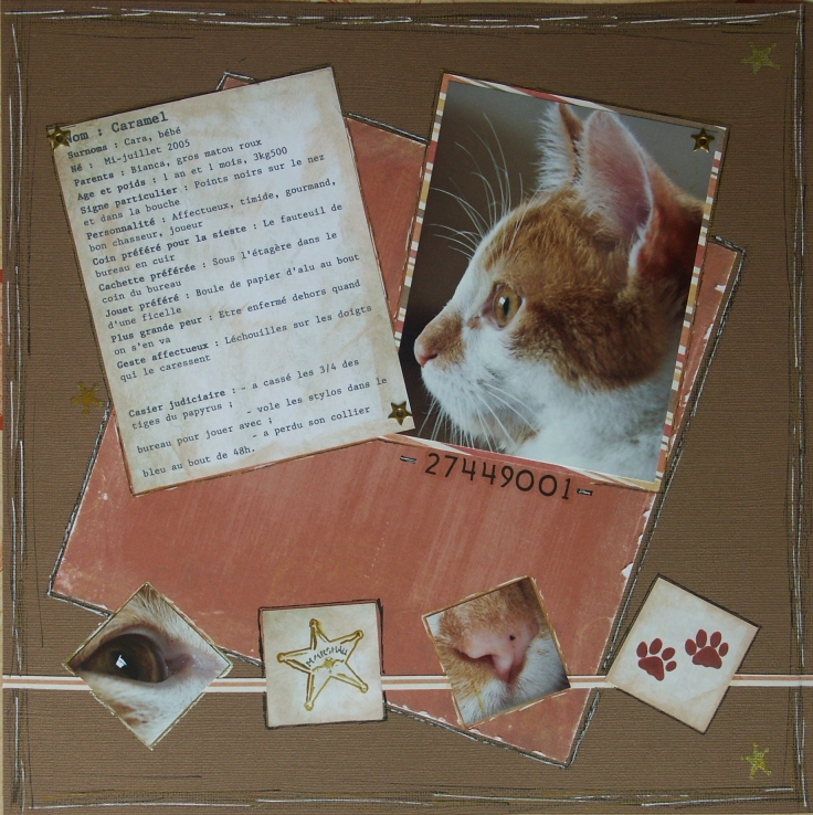 Fiche signalétique de mon Caramel